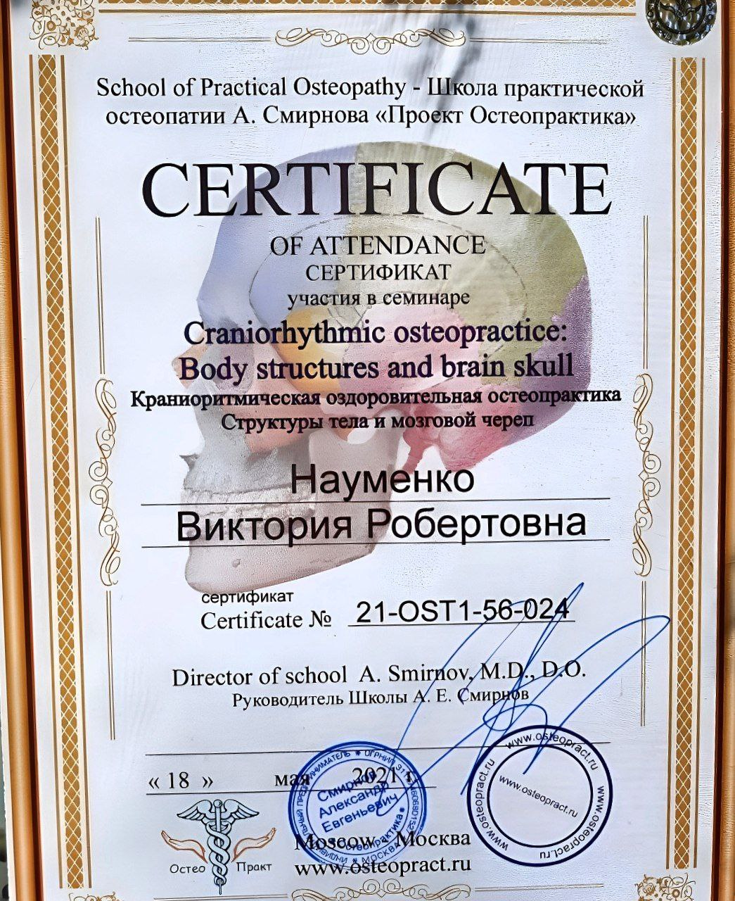 Сертификат Виктории Науменко 17